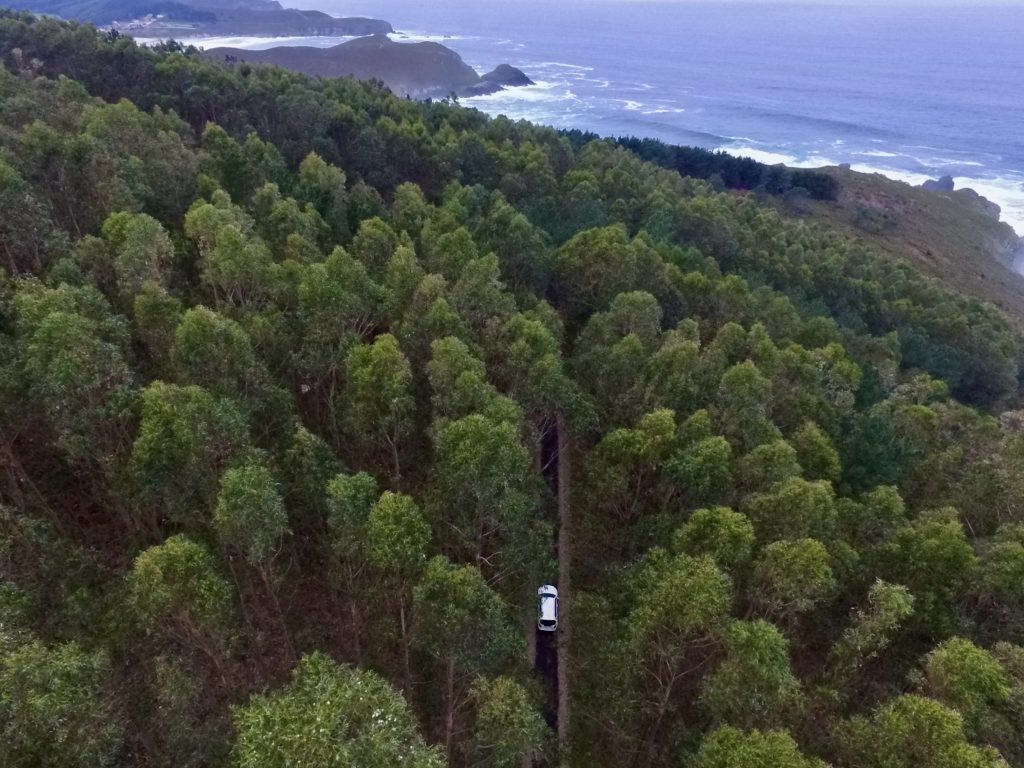 Ence y COPADE impulsan un proyecto que aúna conservación del monte y contribución a un desarrollo social y un mercado responsables