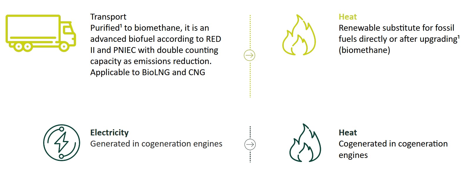 Biogas Uses