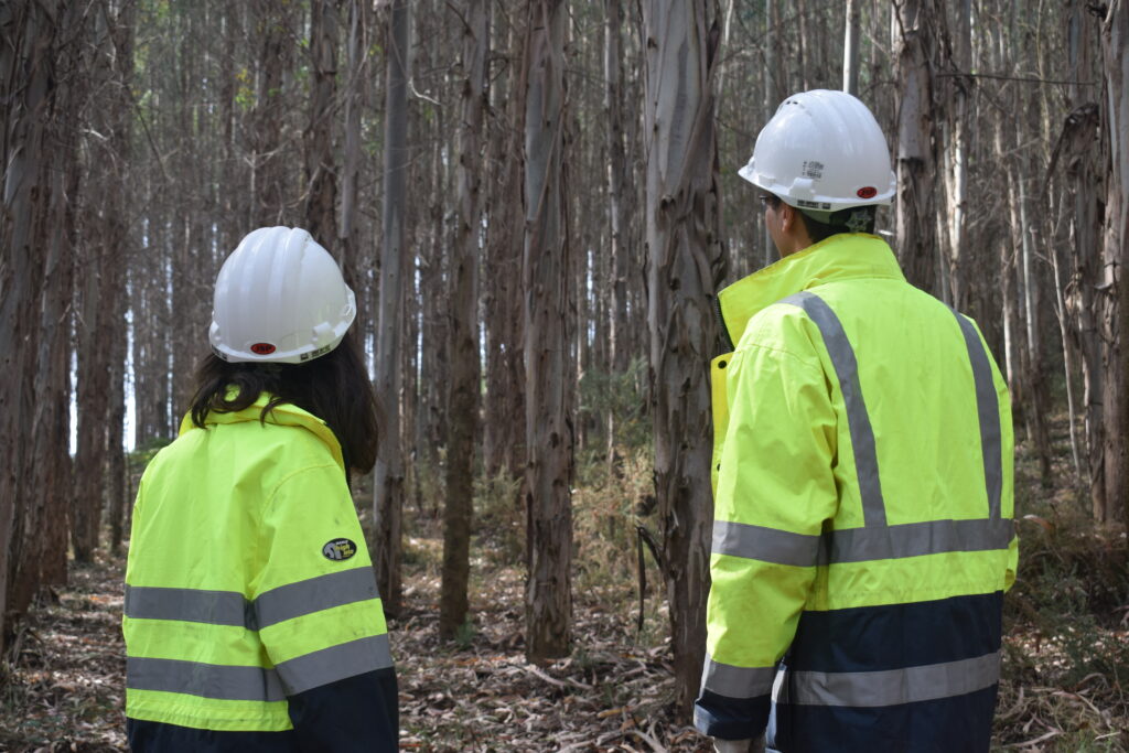 Quince jóvenes onubenses obtienen la beca de Ence para formarse en operaciones forestales mecanizadas
