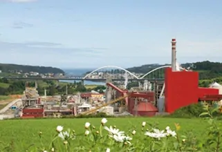 Navia 1006947