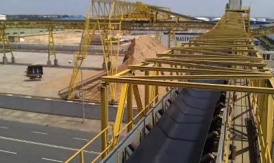 biomasa20puerto-0210391