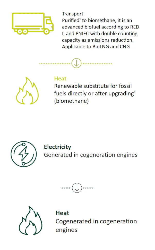 Biogas Uses