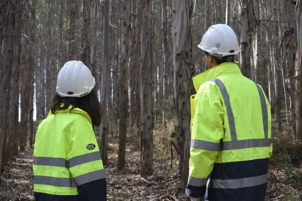 Fifteen young people from Huelva obtain the Ence scholarship to train in mechanized forestry operations