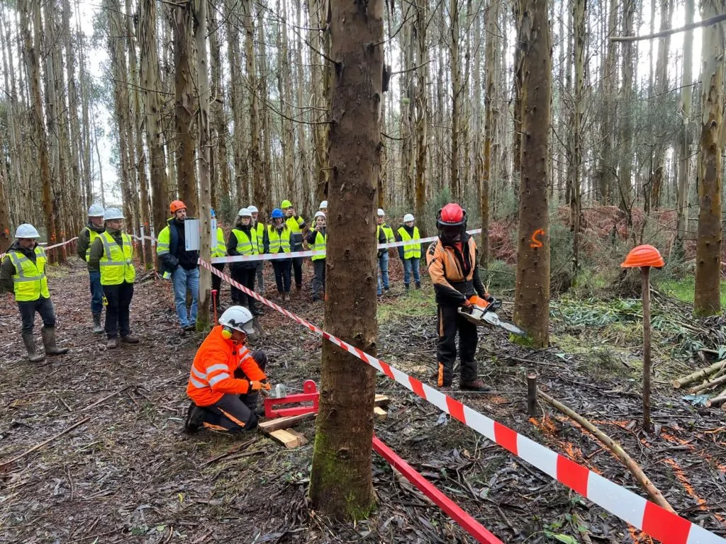 Ence Terra refuerza el sector forestal con casi 30 maquinistas formados y cerca de 1.000 propietarios asesorados en Galicia, Asturias y Cantabria
